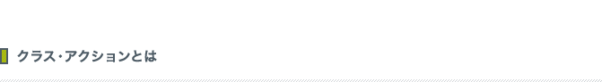 クラス・アクションとは