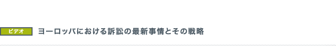 セミナー「欧米日中グローバル市場の最新事情および訴訟戦略」