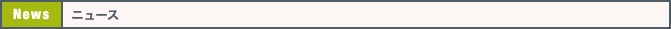 ニュース