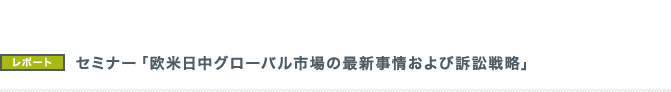 セミナー「欧米日中グローバル市場の最新事情および訴訟戦略」